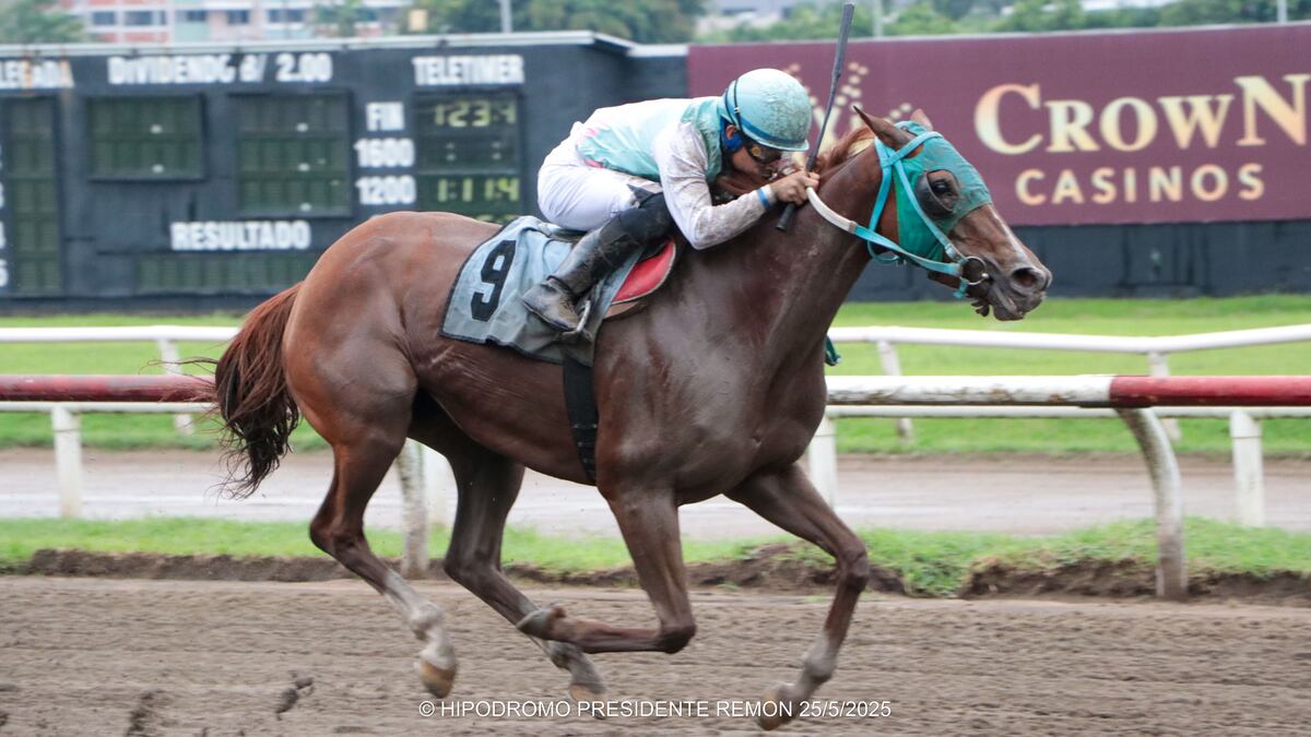 Sol Tan Bonita’ domina con autoridad en el Premio Humberto Vaglio Mata