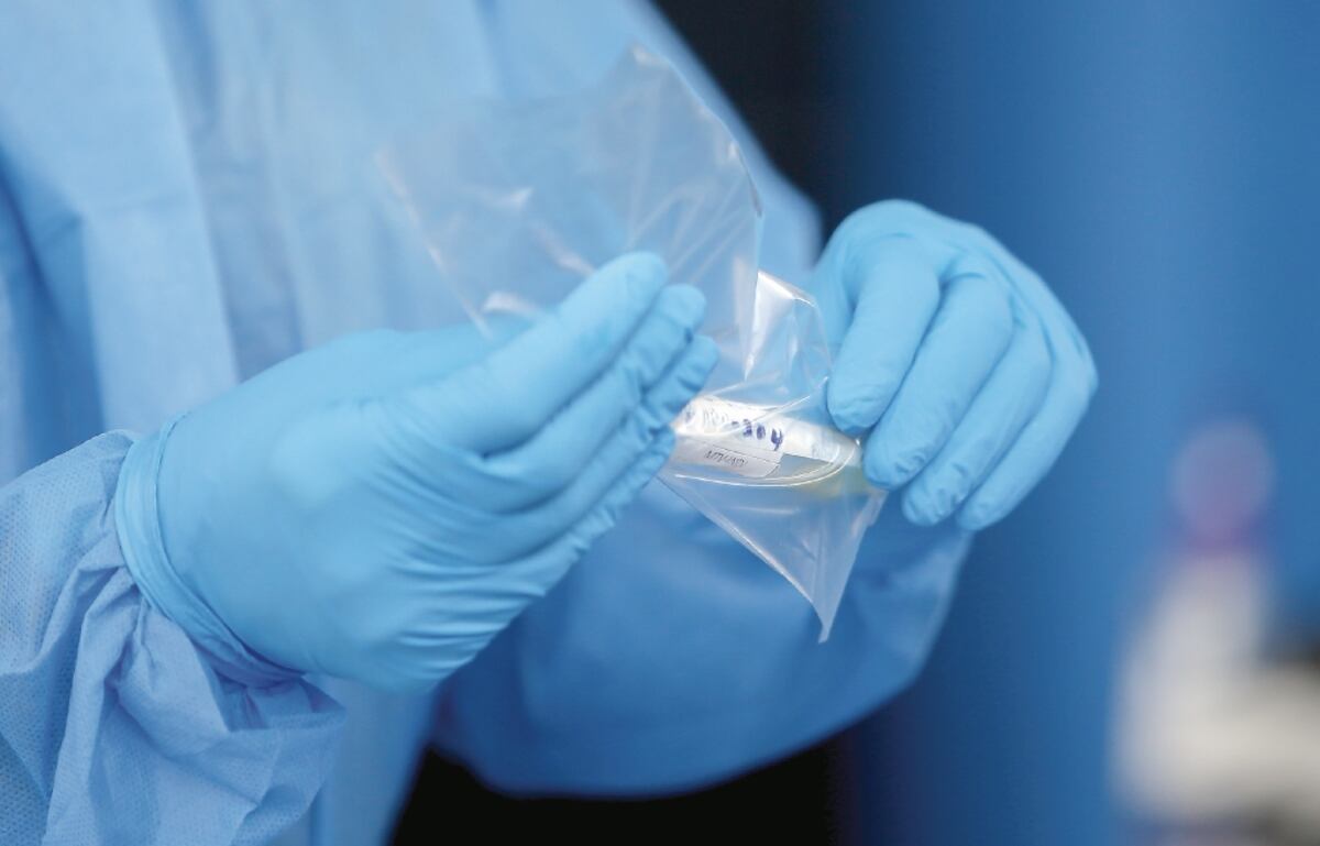 Confirman mutación del covid-19 en Panamá. El mortal virus busca permanecer