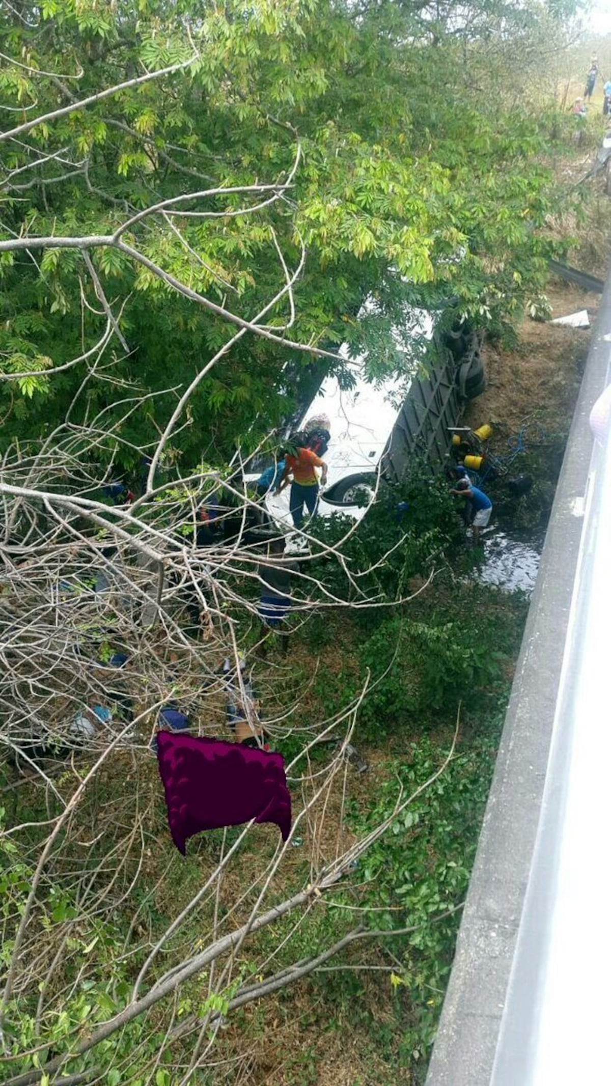 Bus que venía de Bocas del Toro se cae de puente en Antón