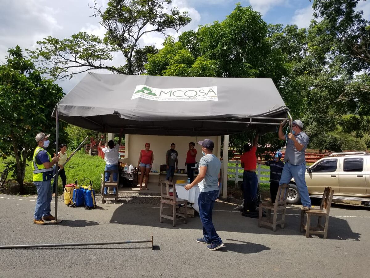 Es viral. ‘La patrona paseadora’, así le cantan a Sandra, que se saltó el cerco. El que le dio el permiso reacciona