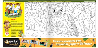 Mi Diario trae la lámina del búho en ‘Fauna del Istmo’: colorea y aprende sobre esta ave nocturna