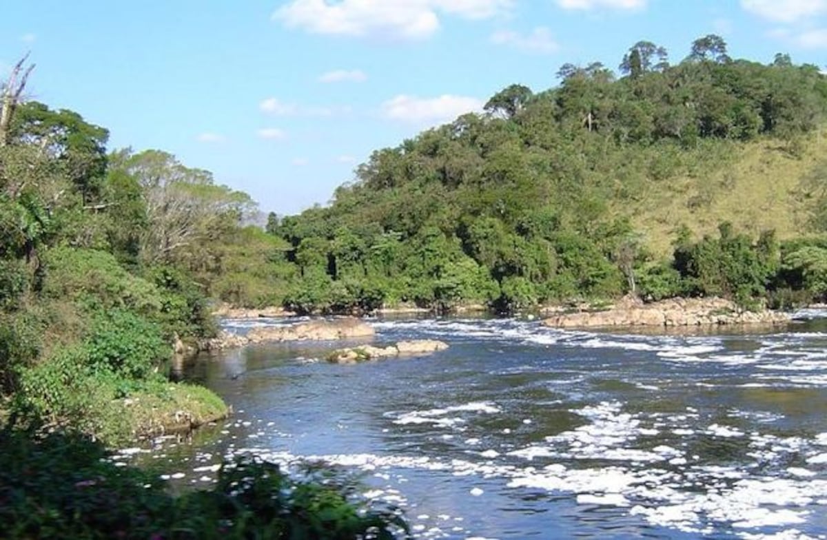 ¡Terror en plena grabación! Periodista tropieza con el cadáver de niña desaparecida en Brasil