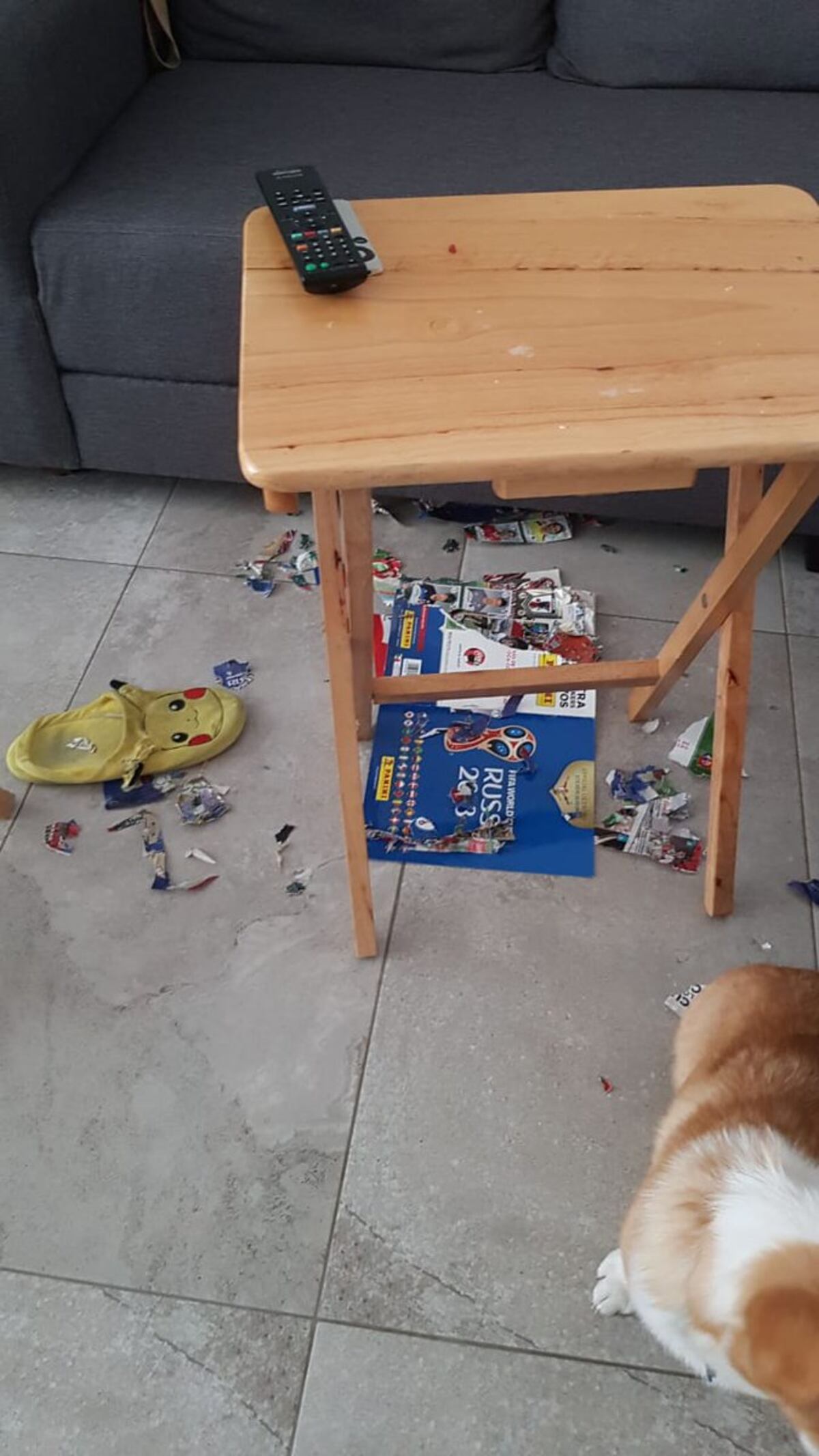 Su perrito le comió su álbum de Panini cuando estaba a punto de completarlo