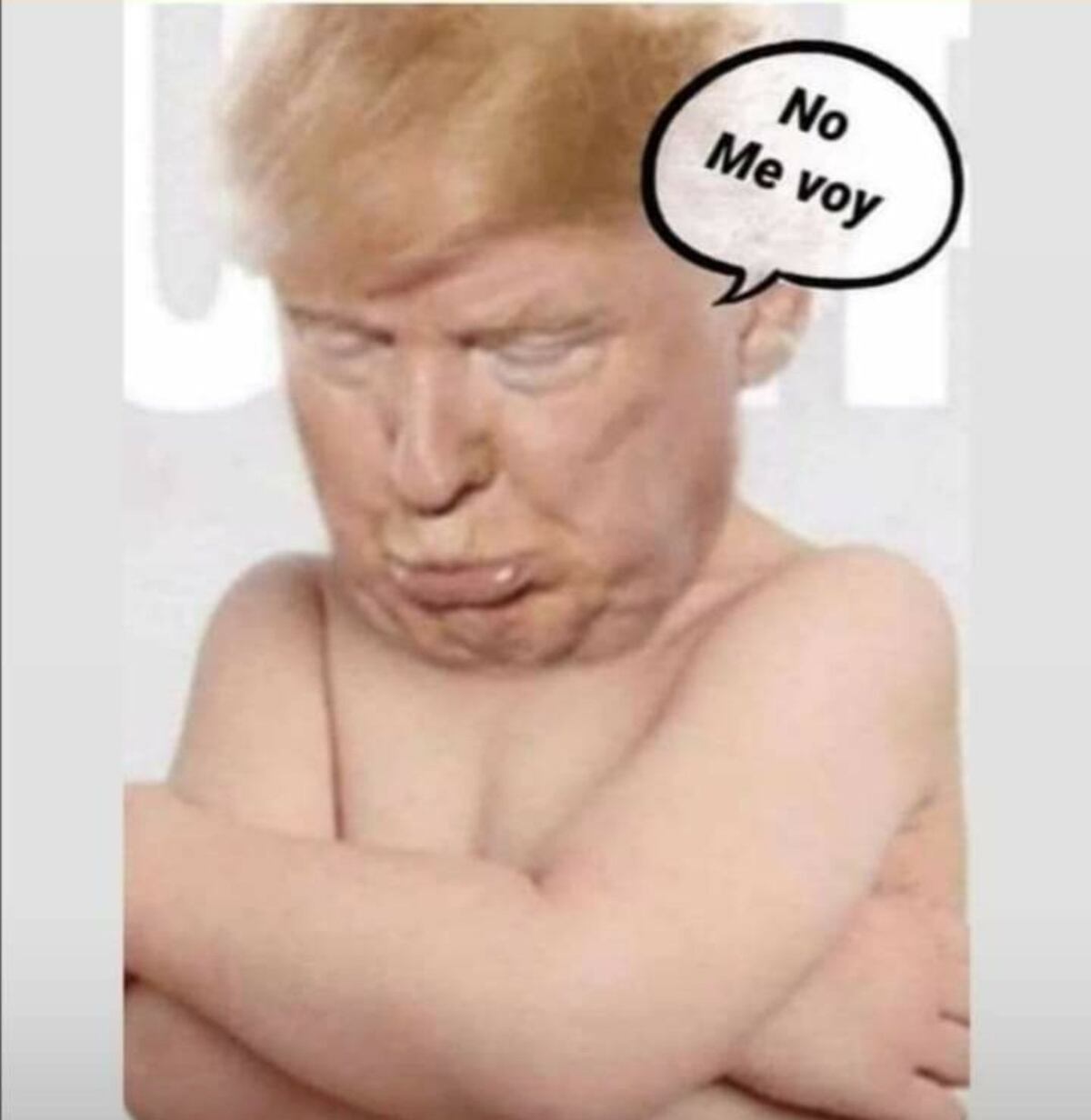 #ByeByeTrump. Las elecciones de E.E.U.U. dejaron memes buenísimos, chequea