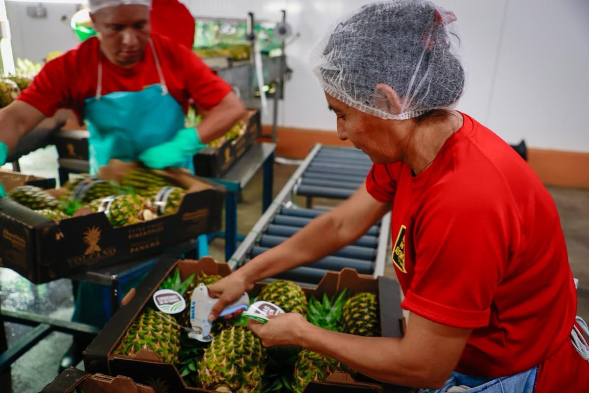 Crecen las exportaciones y superan los $905 millones