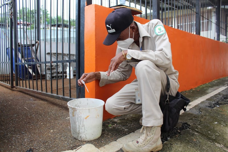 Dengue da un respiro en Panamá, aunque Metropolitana y Colón siguen bajo presión