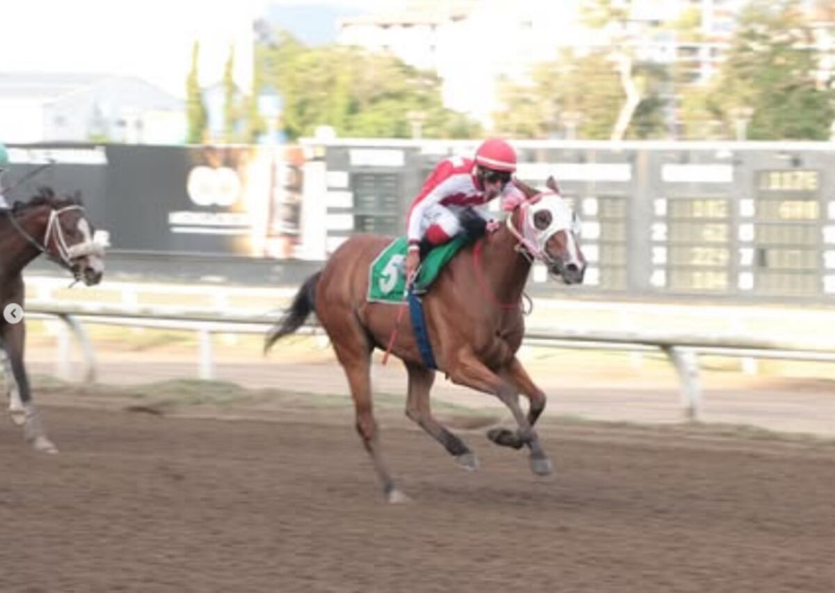 La potranca ‘Flight Moon’ brilla en el Clásico Jorge Ameglio