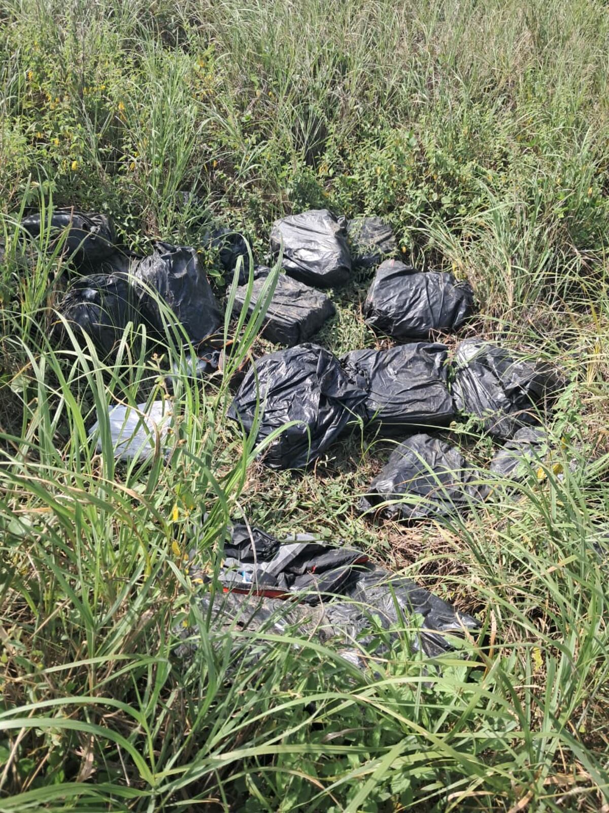 Dos intervenciones en una noche: decomisan cientos paquetes de presunta droga en San Miguelito y Los Santos