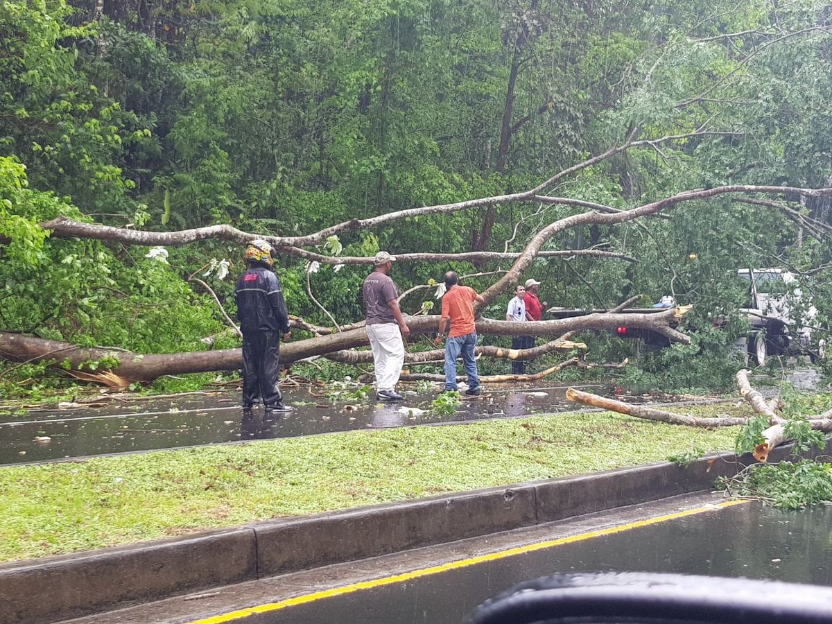 Las fuertes lluvias arrastran carro a quebrada y árbol cae en auto de dirigente