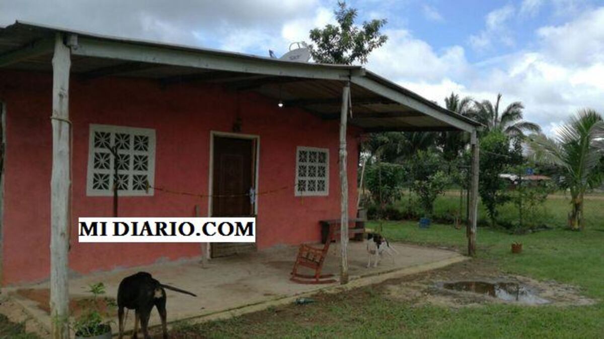 LA MATA A GOLPES. Hombre acaba con su mujer en Chilibre.