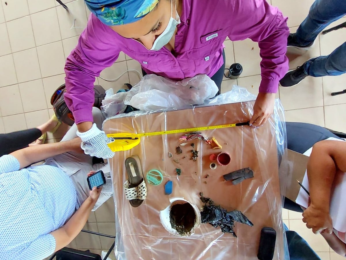 Se realizan inventarios para monitorear la basura marina y microplásticos en playas de Panamá