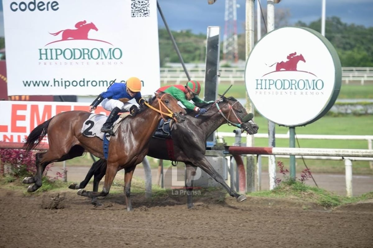 Cerrado final. ‘Mosto Verde’ se apoderó del Handicap La Prensa–Mi Diario