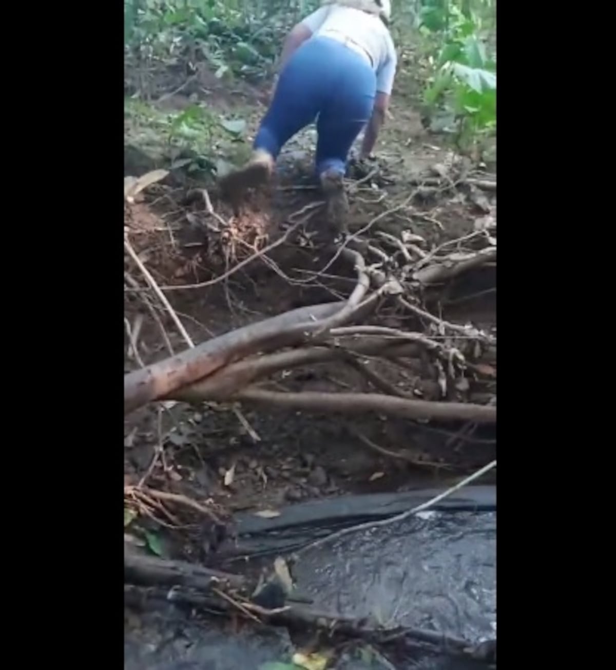 Encuentran restos óseos de mujer desaparecida. Estaba por partes. La profesora, homicida confesa, reveló el punto donde se ubicó el cadáver. Video