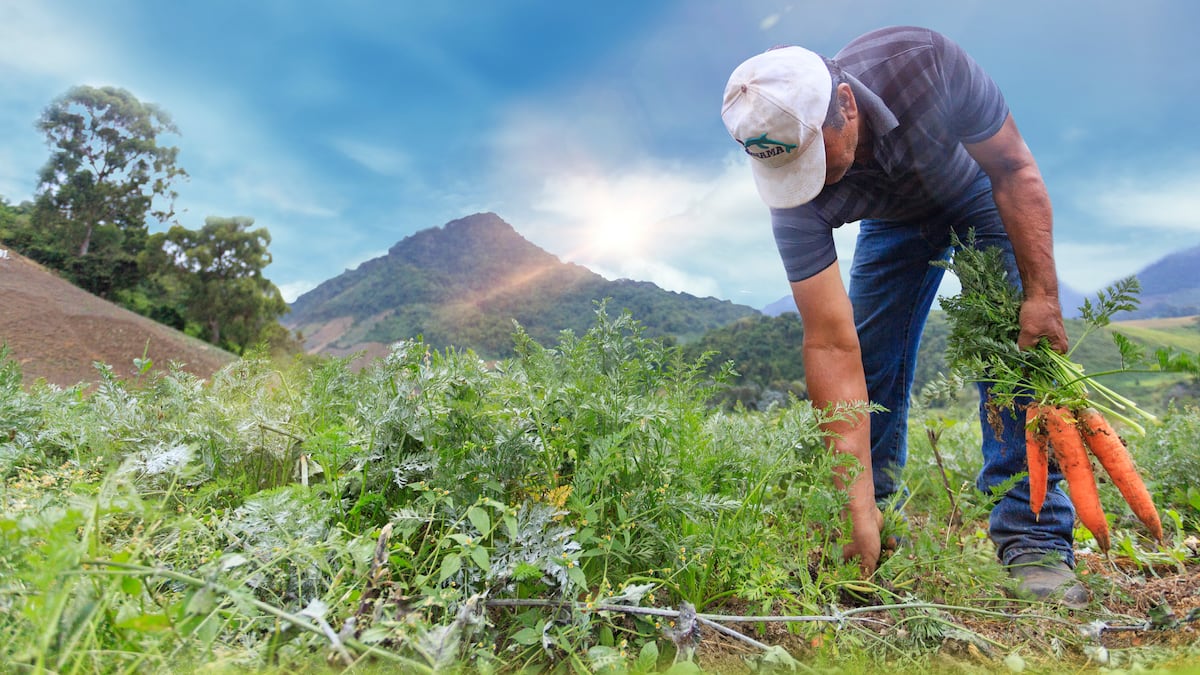 Supermercados Xtra promueven la buena alimentación en los niños a través de los Nutriamigos y su programa Cosechas de mi Tierra