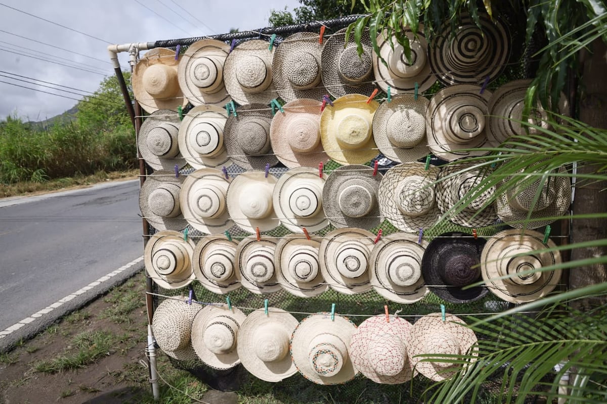 El Festival del Sombrero Pintao 2026: Cultura, arte y tradición en su máxima expresión