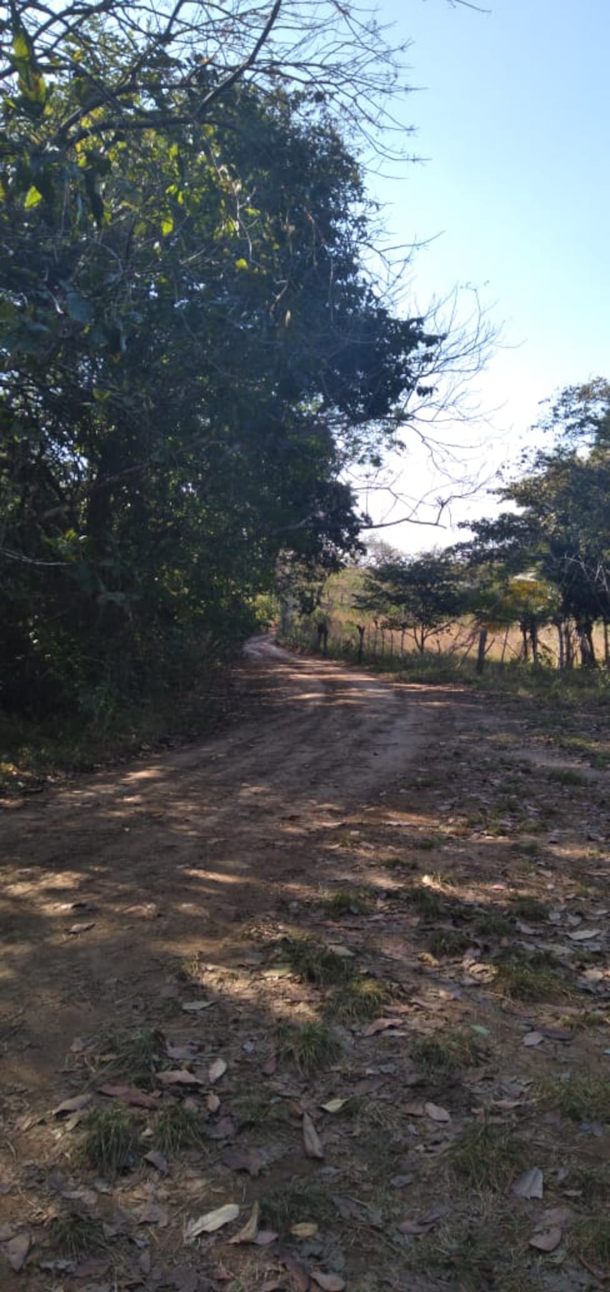 Lajamina,  el pueblo rural que  consiente el presidente  ‘Nito’ Cortizo