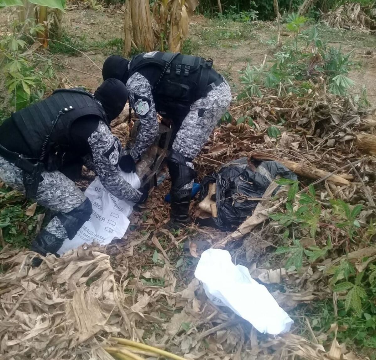 ¡Incautan droga en San Fernando! Unos 36 paquetes se confiscaron en el área