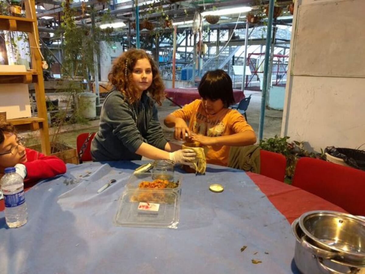 Niño Ngäbe-Buglé se destaca en investigación biológica en Israel. ¡Bien!