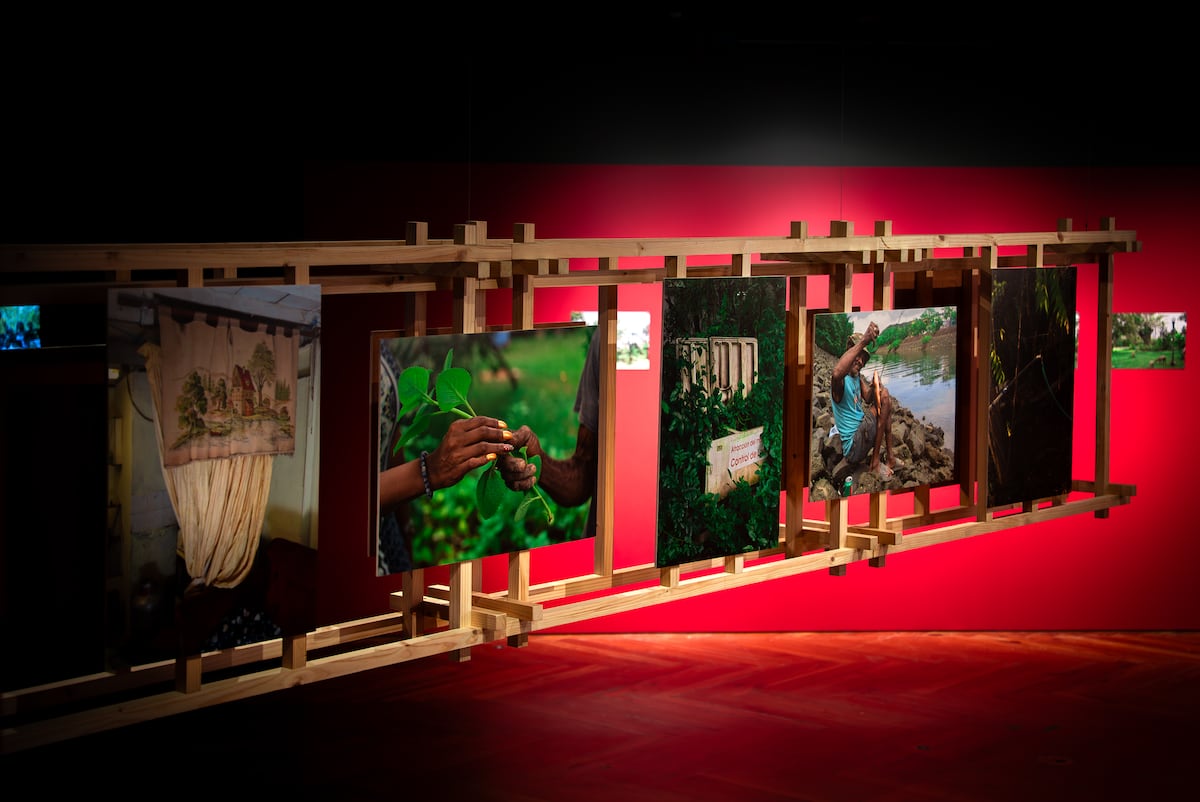 ‘El jardín de Mr. Brown’: el secreto del Canal que hoy se exhibe al público como memoria viva
