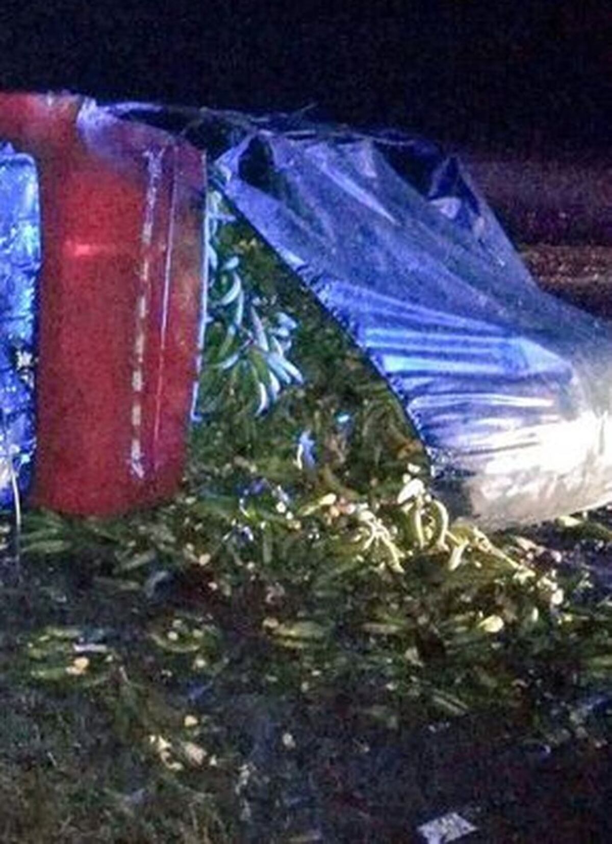 SE VOLCÓ CON TODO Y PLÁTANOS. Uno murió en el fatal accidente