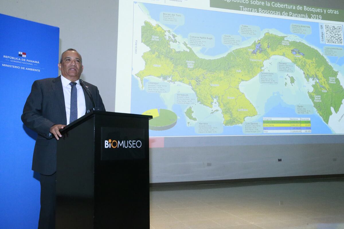 Veraguas, Panamá y Darién las provincias que han perdido bosques