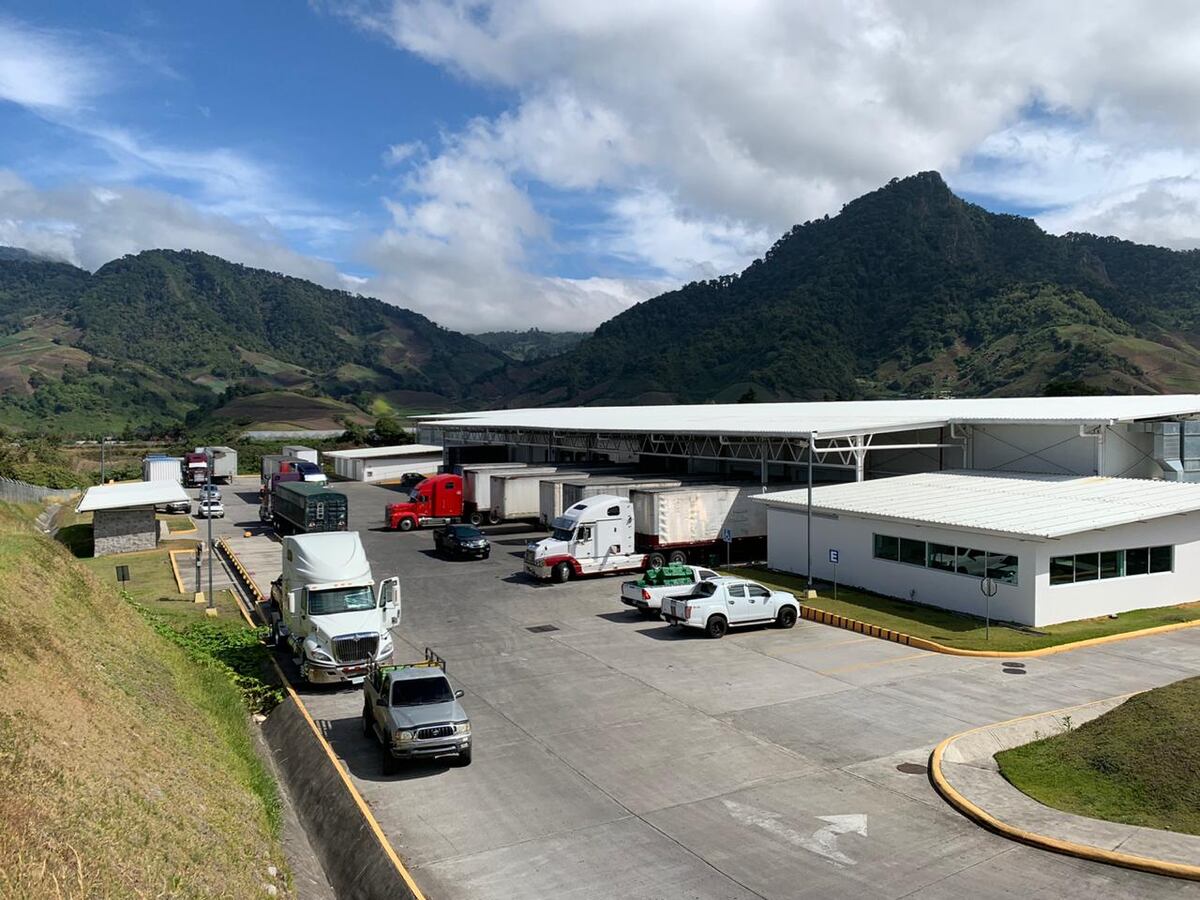 Elecciones 2024: Debate presidencial agropecuario en vivo desde Chiriquí