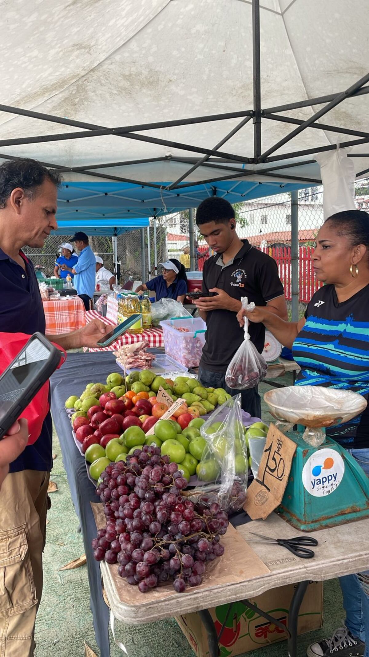 ¡Corre, todavía estás a tiempo! Feria del IMA en Parque Miramar