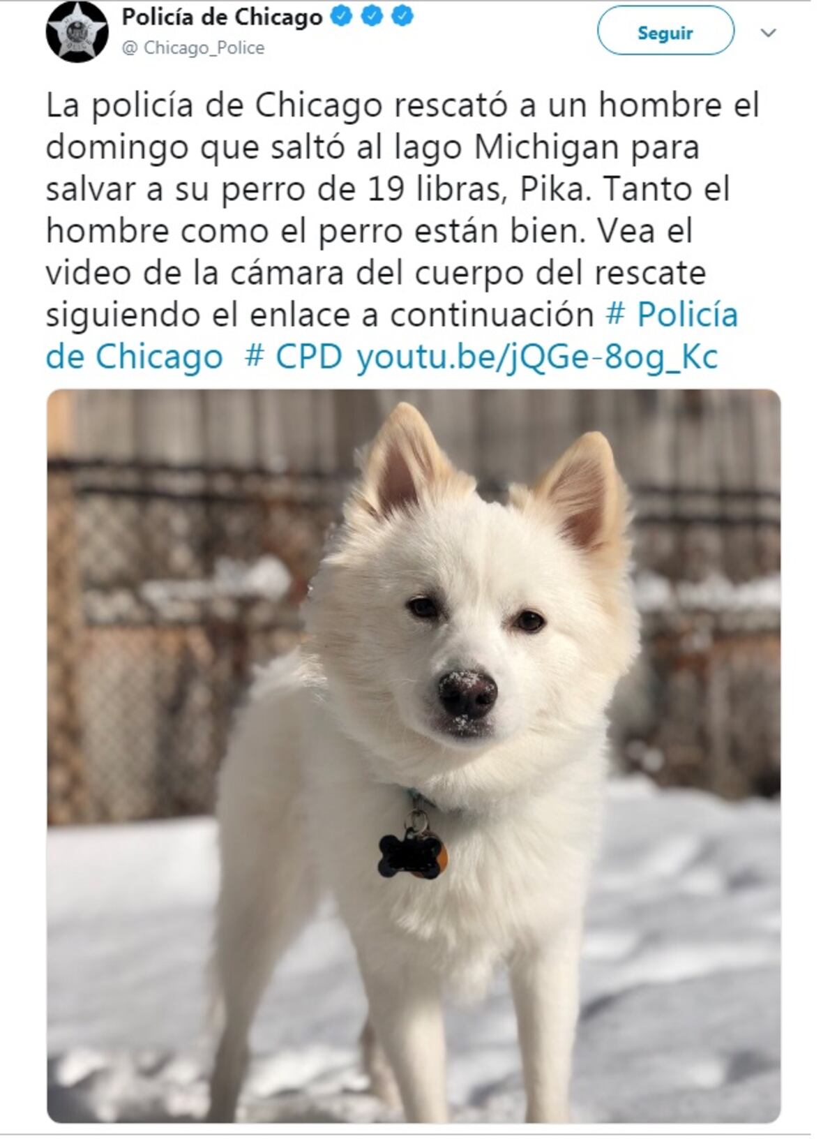 Hombre se salva de morir congelado y todo por salvar a su perrito