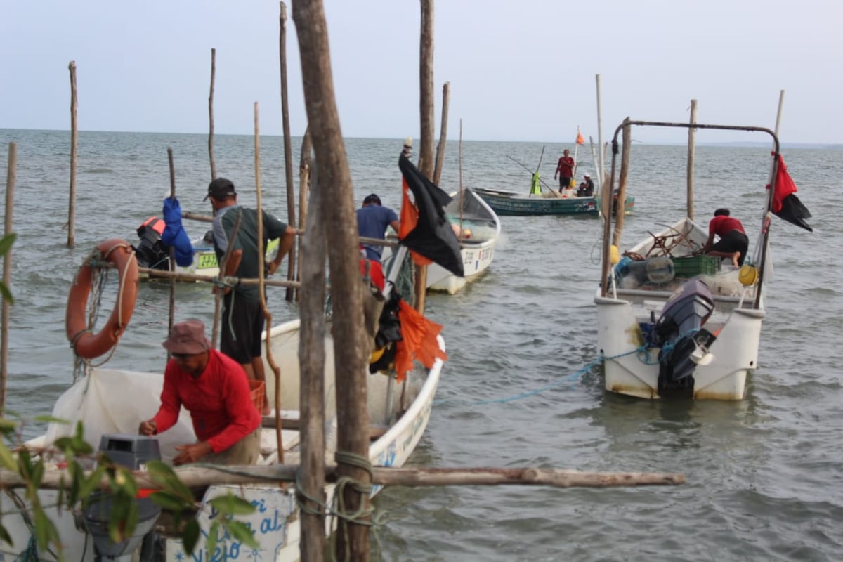 Pescadores en Aguadulce zarparon en busca de comida para los más necesitados