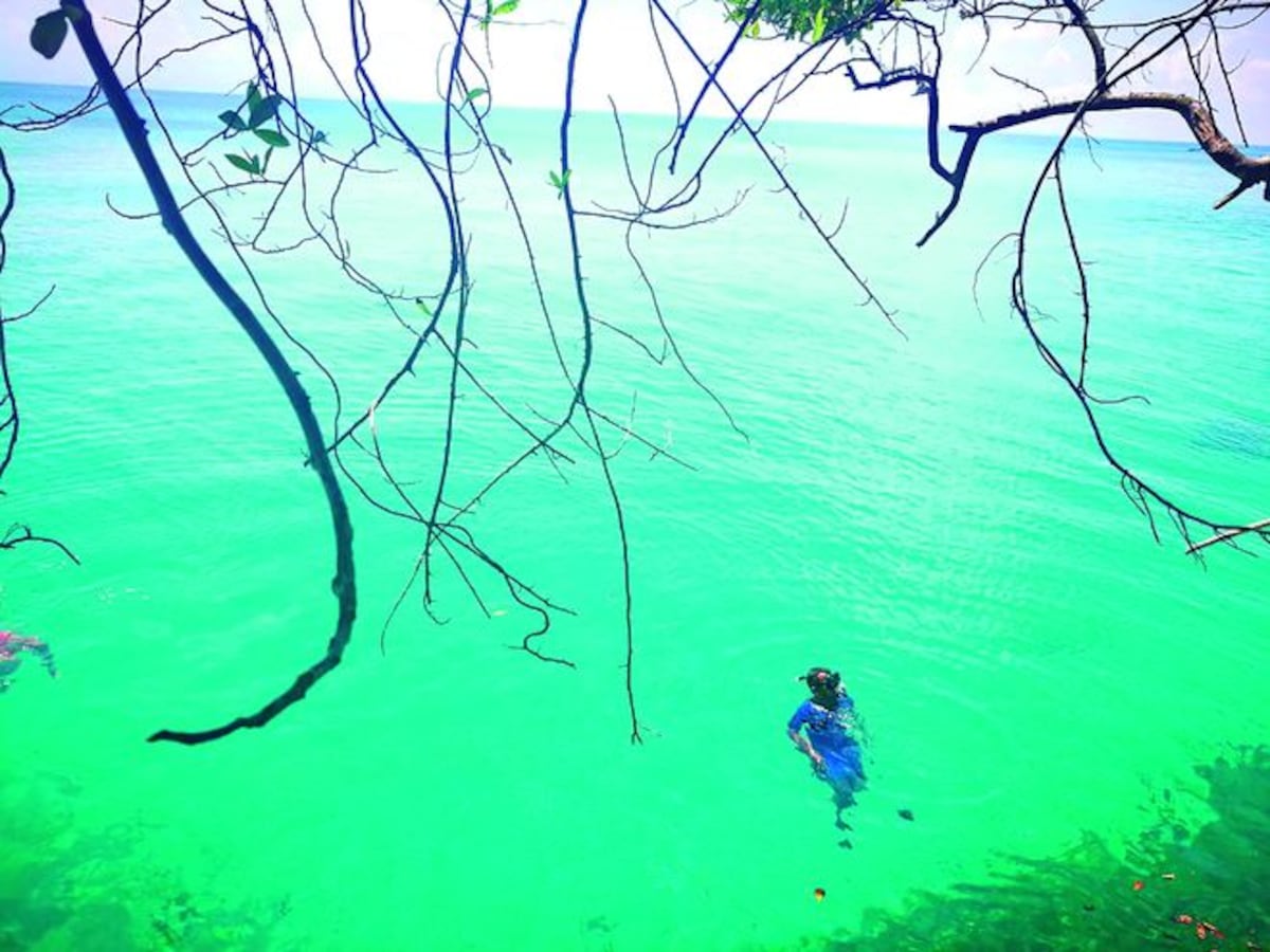 ¡QUÉ JOYA! Conócela es la isla 'Escudo de Veraguas' 