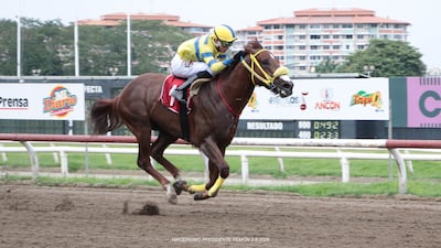 Dos días de carreras locales en el hipódromo