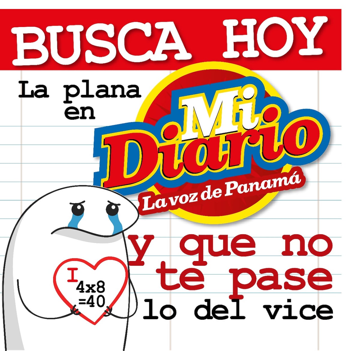 Descarga la plana 4x8 para que no te pase lo del vice