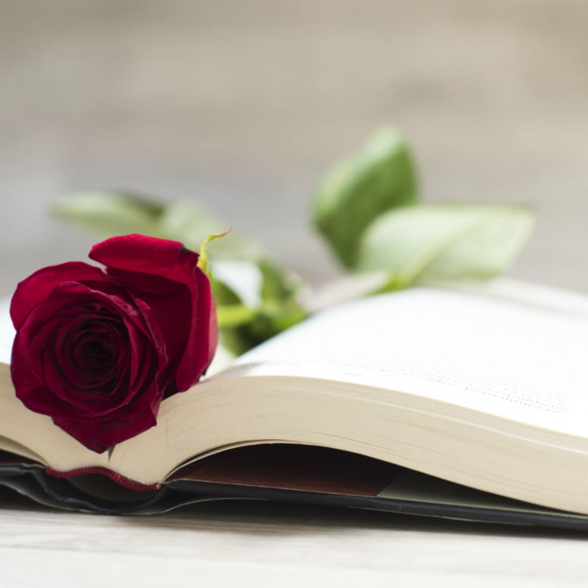 Libros y rosas, la tradición del 23 de abril que mezcla amor, cultura e historia