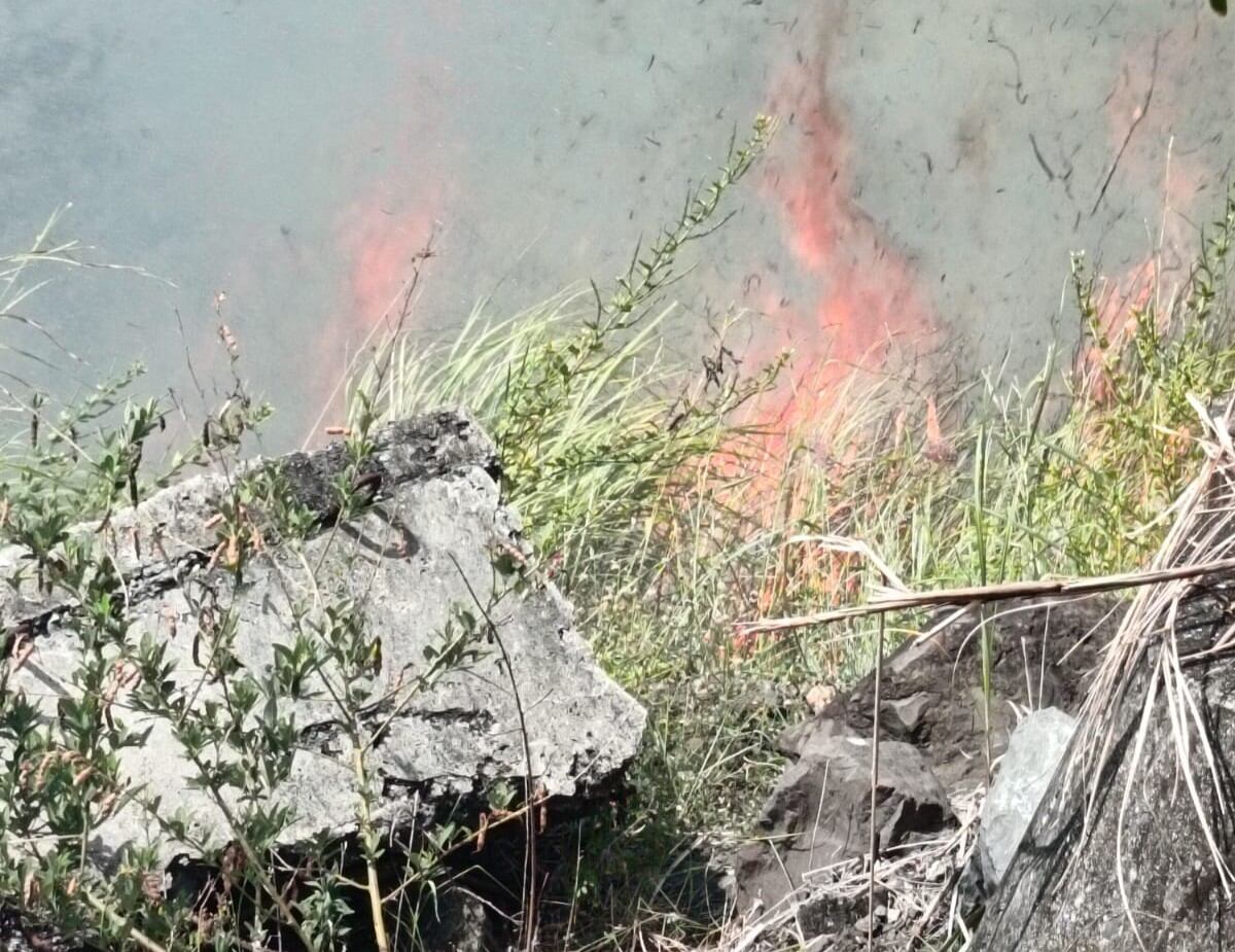Bomberos y SENAN controlan incendio cerca del Rod Carew que amenazaba torres eléctricas