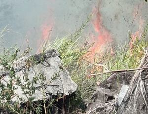 Bomberos y SENAN controlan incendio cerca del Rod Carew que amenazaba torres eléctricas