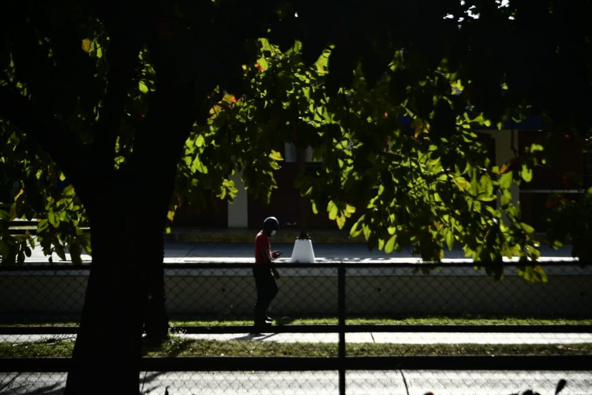 Así está la situación de el coronavirus en Panamá este domingo de cuarentena total