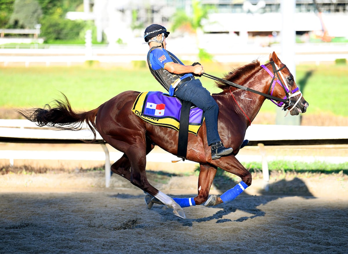Entrenadores panameños satisfechos con el sorteo para el Clásico del Caribe