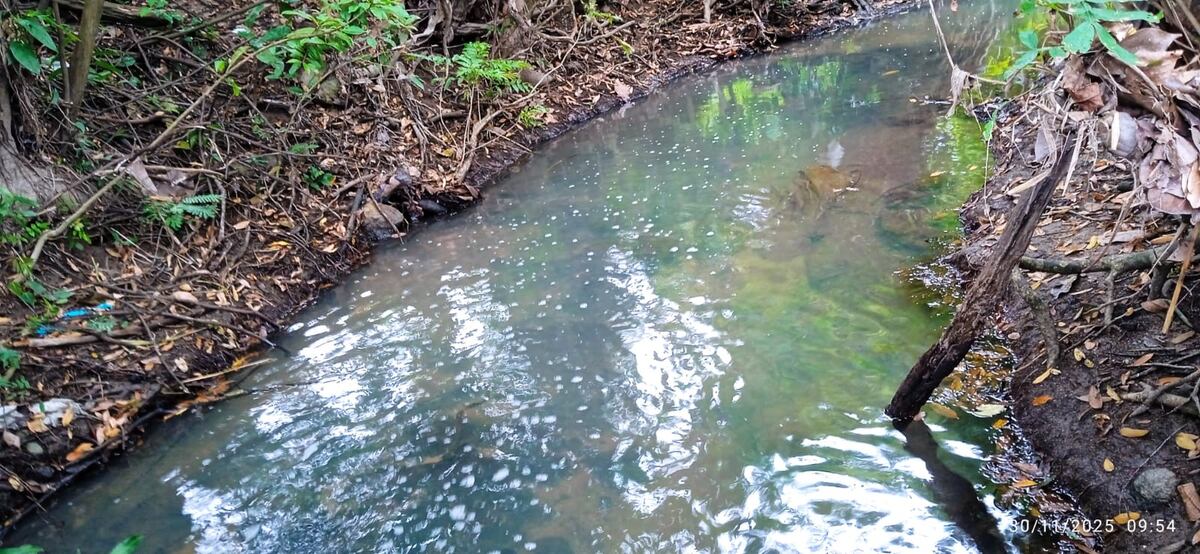 MiAMBIENTE y Bomberos controlan derrame de combustible tras accidente en Penonomé