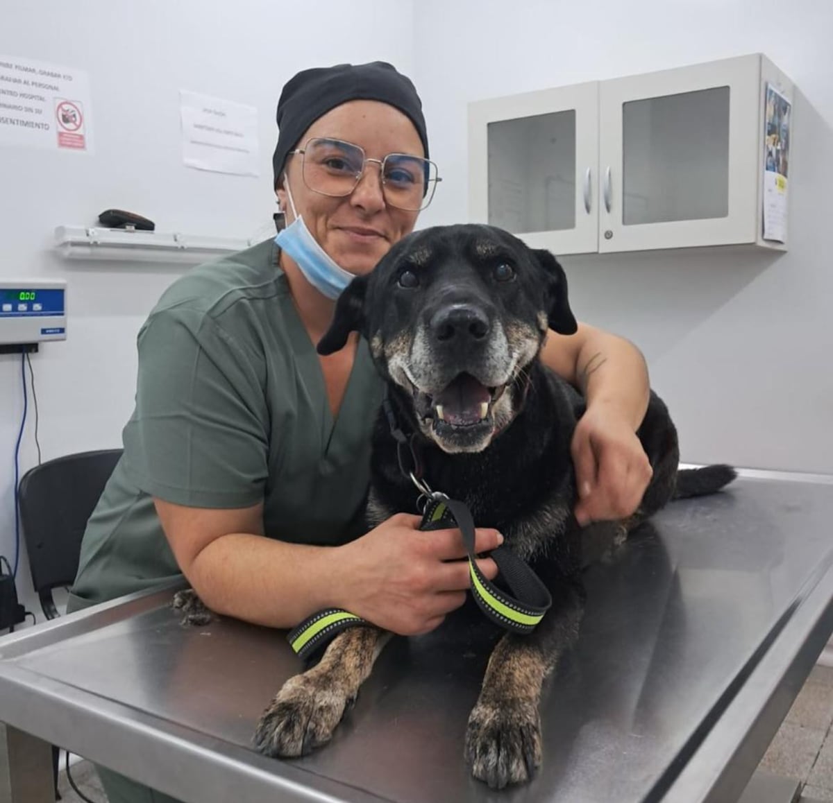 Veterinarios salvan a Policarpo, el firulais con corazón biónico