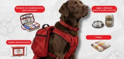 ¡Que no se te quede el firulais! Prepara la mochila de 72 horas para tu mascota tras los recientes sismos