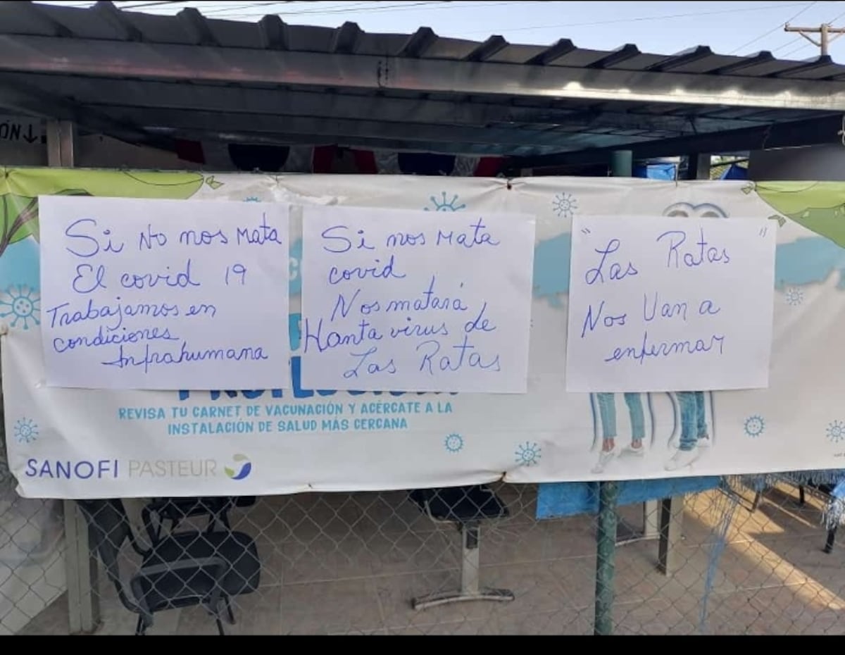 ‘Si no nos mata la covid, nos matan las ratas’. Roedores invaden  Centro de Salud de Puerto Caimito. Temen a otro virus, el hanta