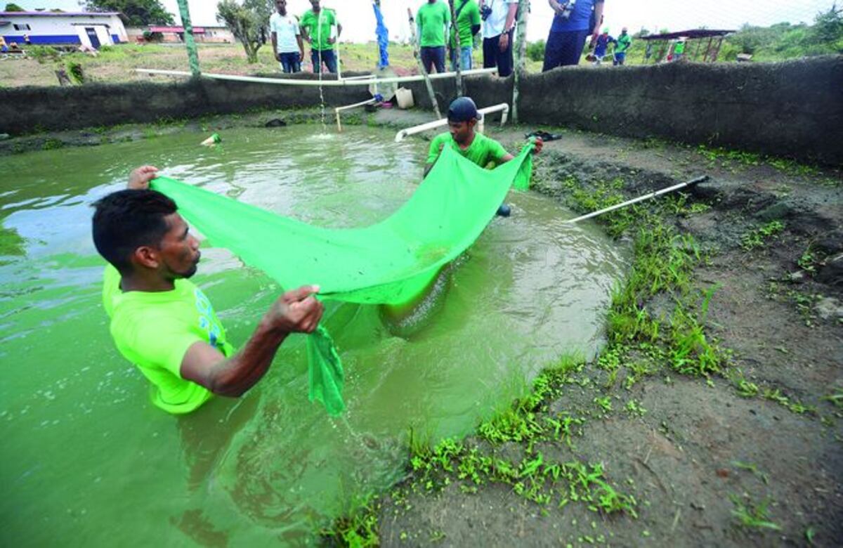 Tienen paz. Bandas se enfrentaban en La Joyita, ahora trabajan