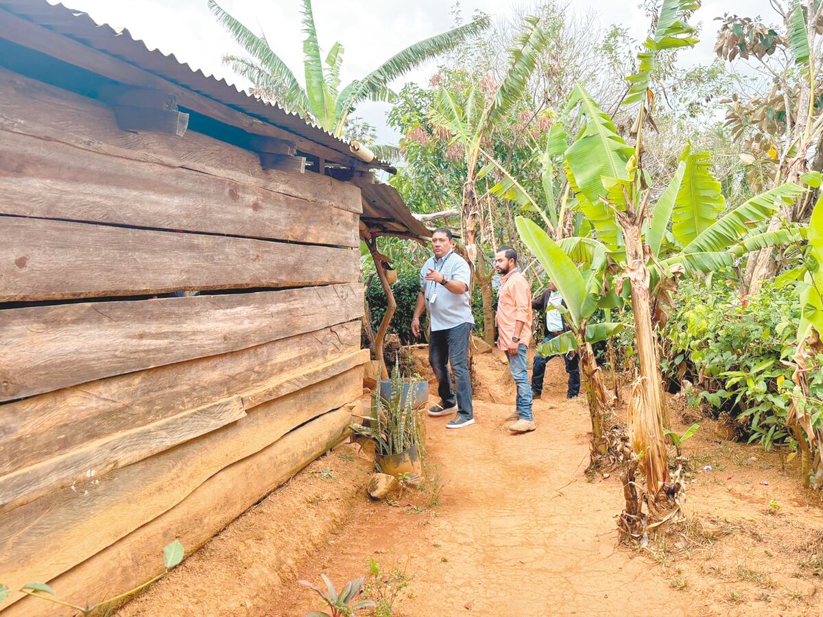 Maltratadora. Mujer imputada por lesiones a infante de seis años