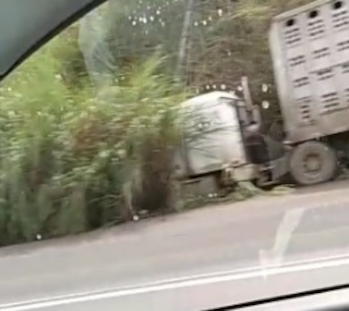 Dos mulas involucradas. Accidente múltiple deja 9 heridos, 4 de gravedad en autopista Arraiján-La Chorrera. Video