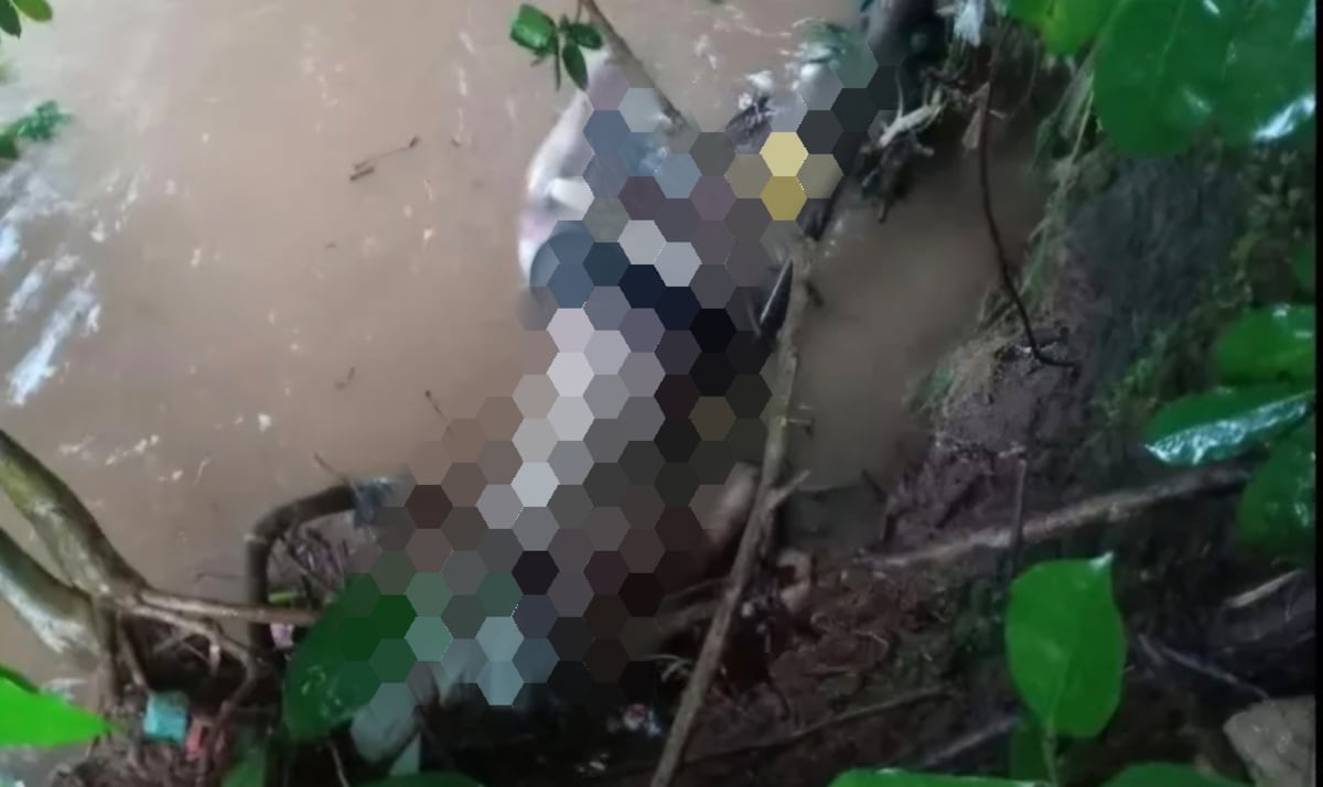 ¿Se ahogó o lo lanzaron al agua? Solo llevaba un bóxer negro: Hallan un cuerpo entre las raíces de un árbol en Las Mañanitas