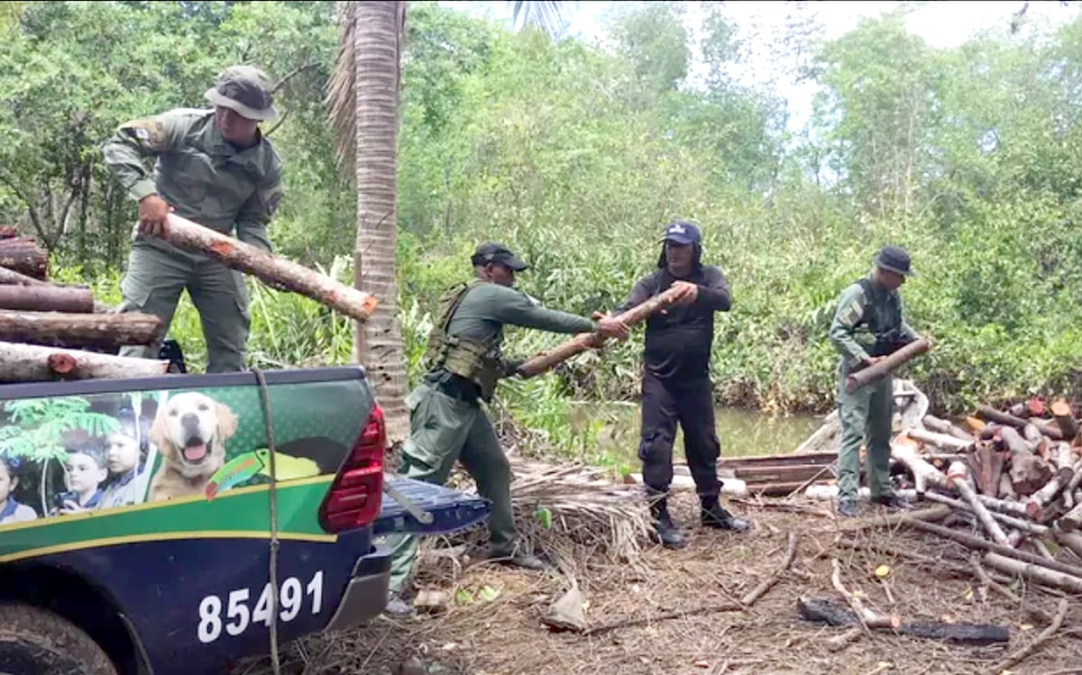 Protestas en la Panamericana provoca una detención en Chame por la tala ilegal
