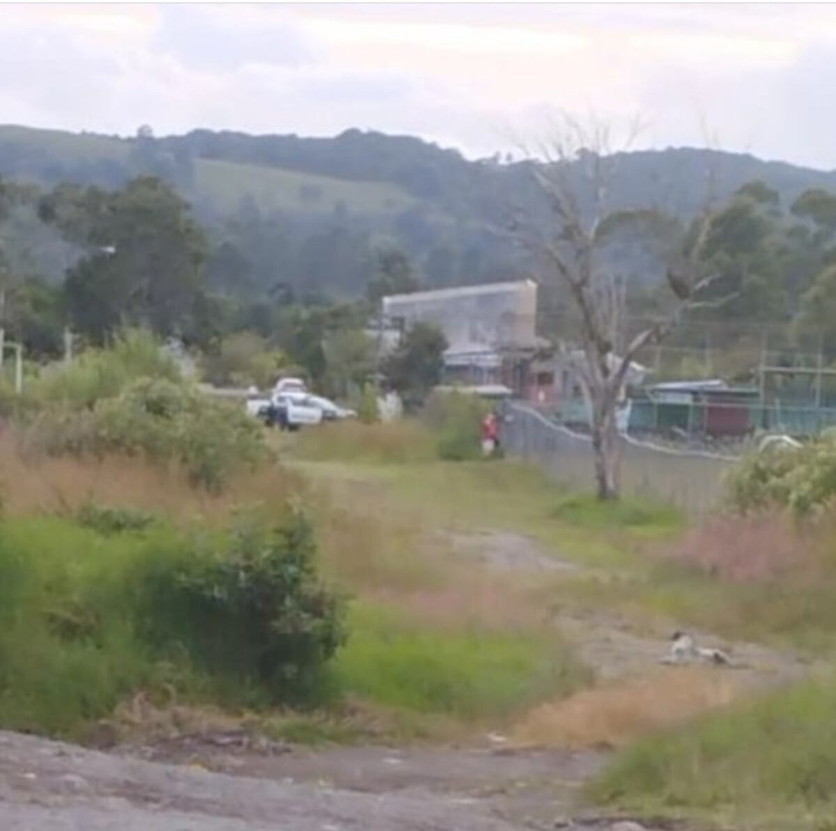 Con su rostro  desfigurado y casi sin ropa, fue hallada muerta una menor en Chiriquí. Estaba desaparecida