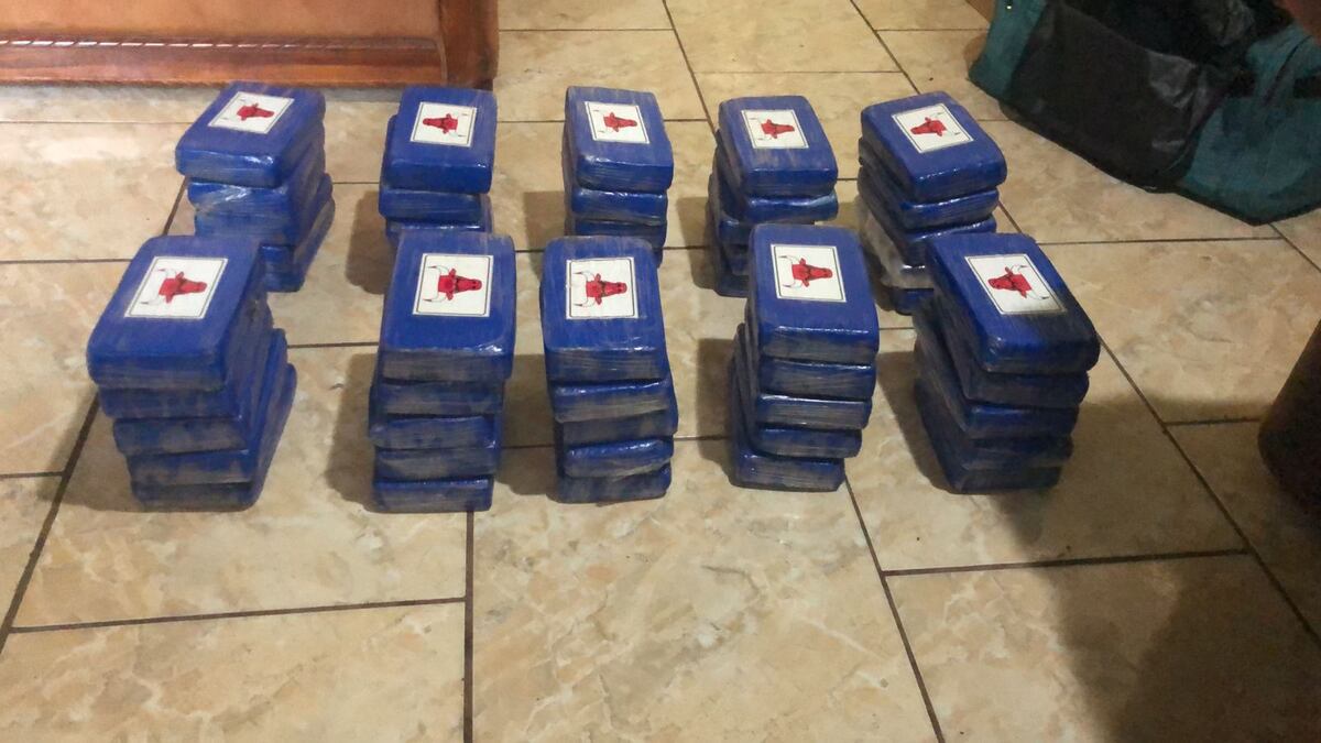 Decomisan 50 paquetes de droga en Renacimiento