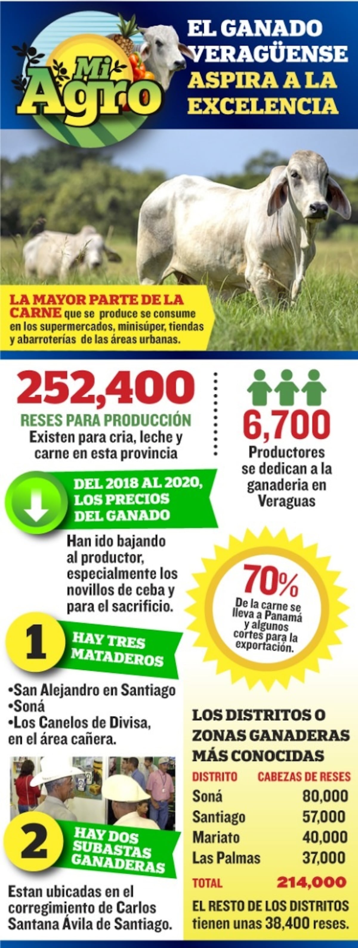 Mi Agro: Panamá, con una excelente producción de leche en la región