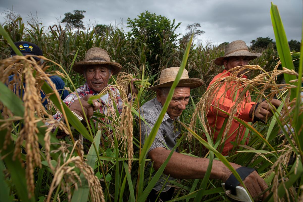 La princesa de Cañazas